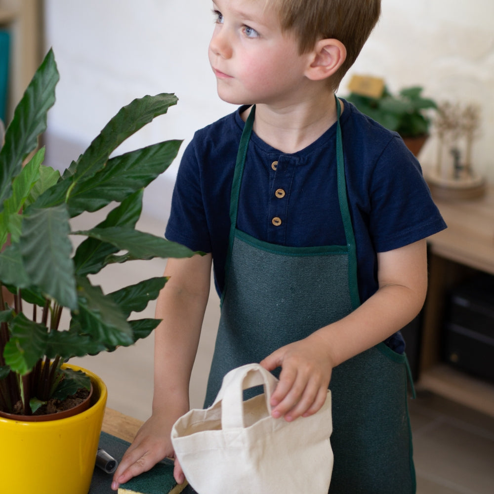 Kit d'activité pour prendre soin des feuilles