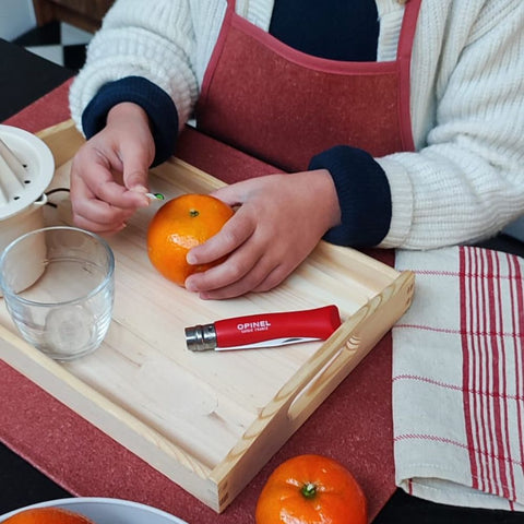 Premier couteau Opinel