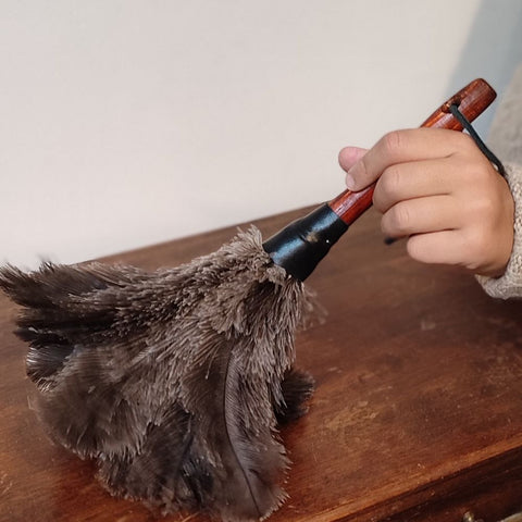 Comment faire la poussière et nettoyer son plumeau ? 