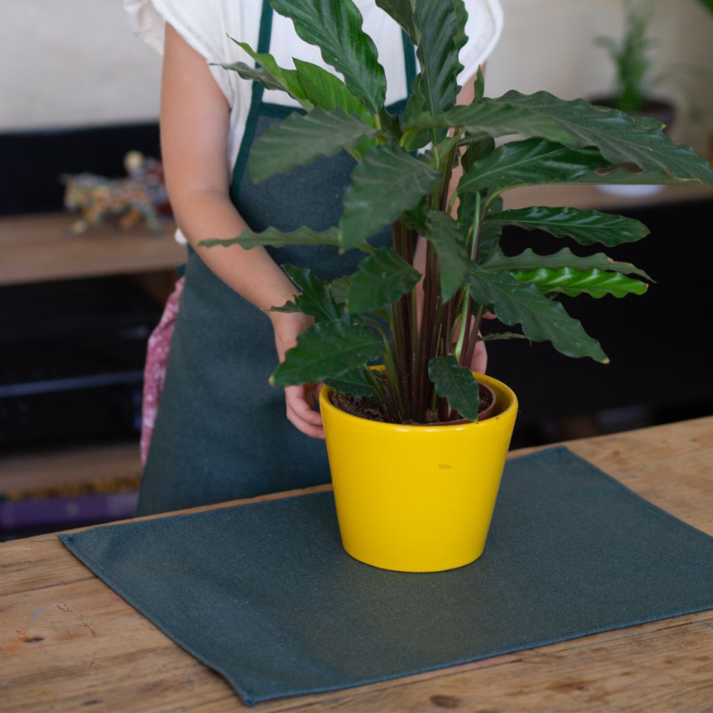 Le Duo : tablier + tapis d'activité