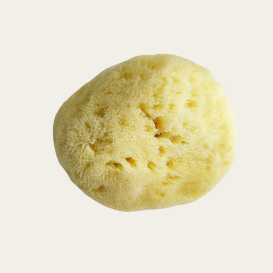 Eponge de transvasement